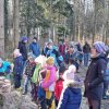02 Aktion Februar 25 Tiere im Winterwald